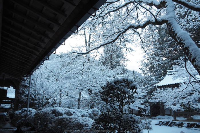 京都,西明寺,雪景(P2140293,14 mm,f-5.6,EM5II)2015yaotomi_.jpg