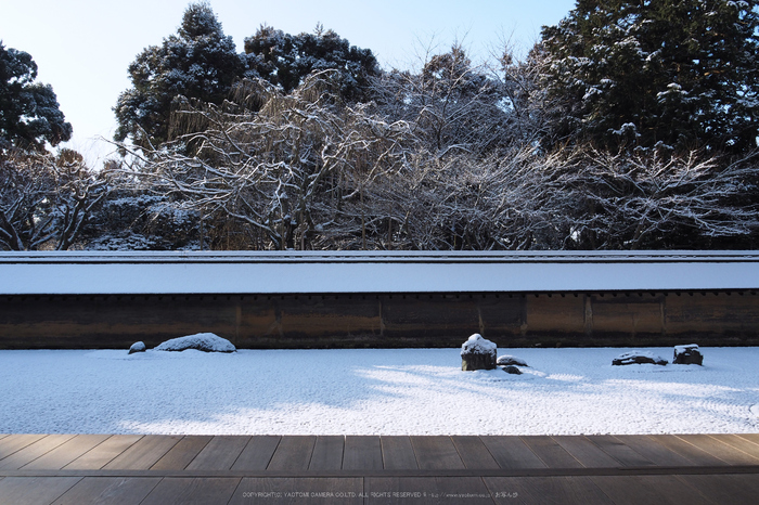 京都,龍安寺,雪景(P2140473,14 mm,f-8,EM5II)2015yaotomi_.jpg