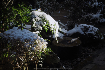 京都,龍安寺,雪景(P2140502,54 mm,f-8,EM5II)2015yaotomi_.jpg