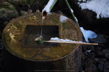 京都,龍安寺,雪景(P2140505,70 mm,f-8,EM5II)2015yaotomi_.jpg