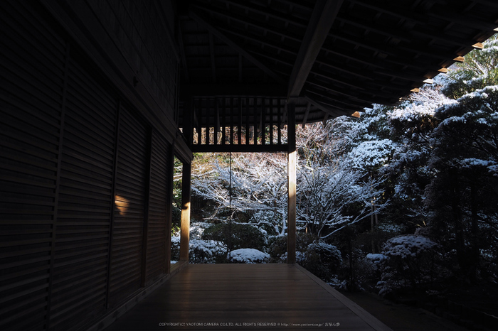 京都,龍安寺,雪景(P2140510,14 mm,f-8,EM5II)2015yaotomi_.jpg