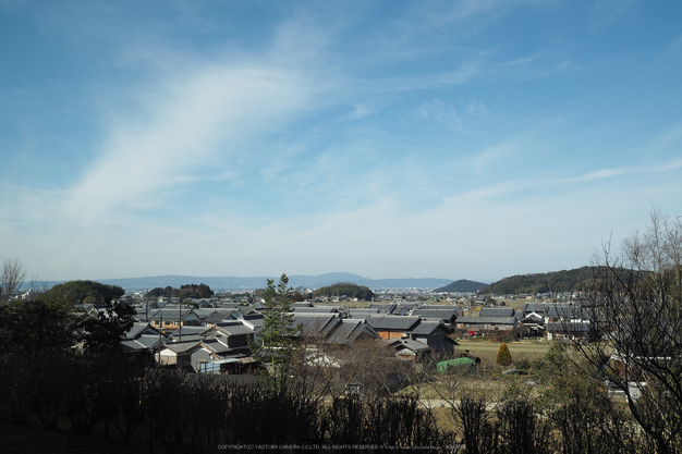 奈良,明日香,ひょうひょう(P2210143,17 mm,f-4.5,EM5II)2015yaotomi_.jpg