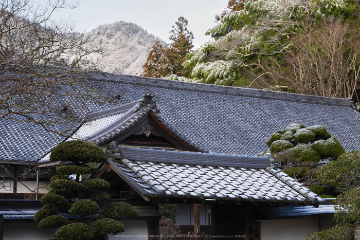 室生寺,雪景(P1000281,36 mm,f-6.3,GF7)2015yaotomi_.jpg