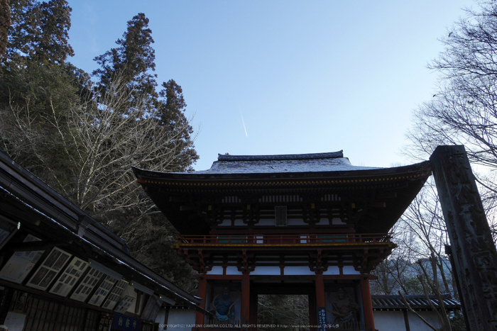 室生寺,雪景(P1000288,12 mm,f-8,GF7)2015yaotomi_.jpg