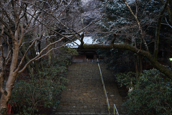 室生寺,雪景(P1000291,32 mm,f-8,GF7)2015yaotomi_ 1.jpg