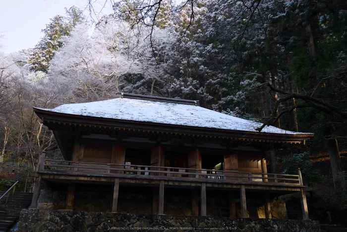 室生寺,雪景(P1000296,15 mm,f-8,GF7)2015yaotomi_ 1.jpg