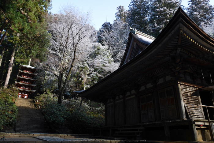 室生寺,雪景(P1000306,12 mm,f-8,GF7)2015yaotomi_ 1.jpg