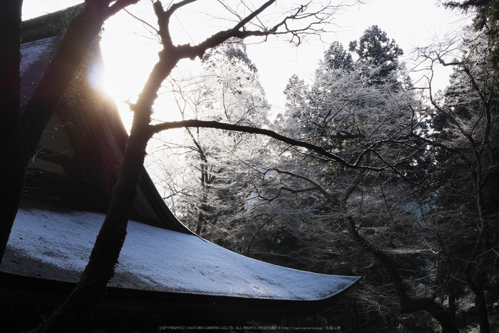 室生寺,雪景(P1000316,24 mm,f-8,GF7)2015yaotomi_ 1.jpg