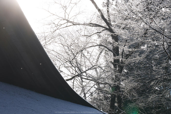 室生寺,雪景(P1000325,78 mm,f-8,GF7)2015yaotomi_ 1.jpg