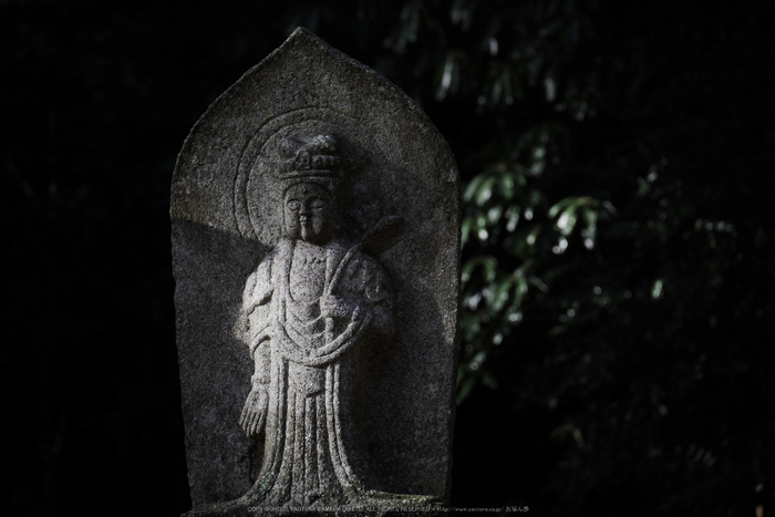 室生寺,雪景(P1000357,88 mm,f-5.6,GF7)2015yaotomi_ 1.jpg