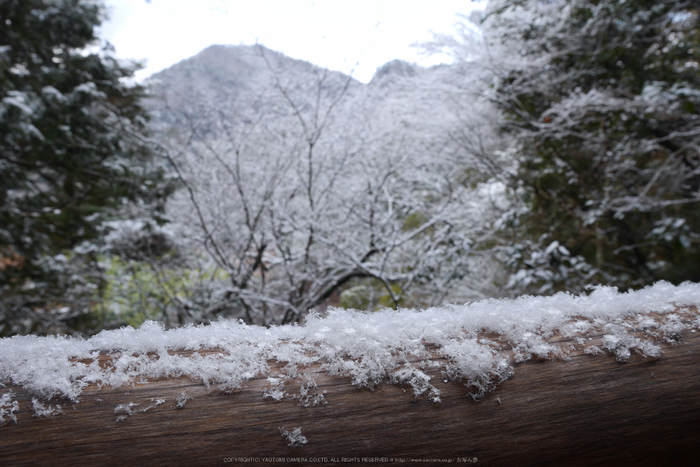 室生寺,雪景(P1000437,12 mm,f-9,GF7)2015yaotomi_.jpg