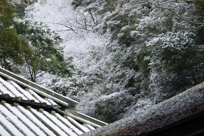 室生寺,雪景(P1000457,46 mm,f-7.1,GF7)2015yaotomi_.jpg