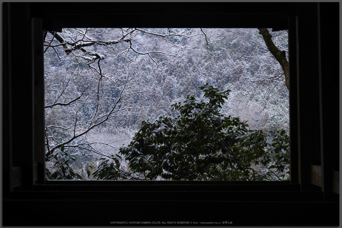 室生寺,雪景(P1000479,GF7,Top)2015yaotomi.jpg