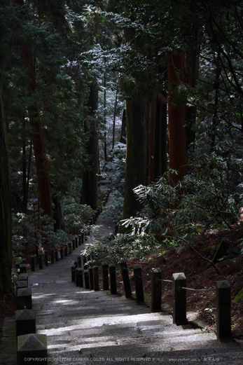 室生寺,雪景(P1000484,35 mm,f-4,GF7)2015yaotomi_.jpg