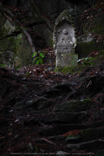 室生寺,雪景(P1000491,53 mm,f-5,GF7)2015yaotomi_.jpg