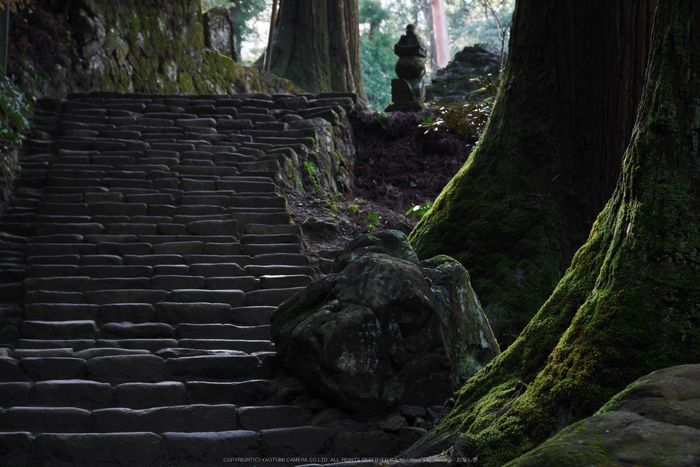 室生寺,雪景(P1000506,45 mm,f-4.6,GF7)2015yaotomi_.jpg