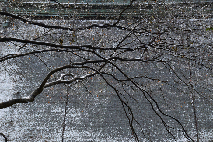 室生寺,雪景(P1000569,53 mm,f-5.6,GF7)2015yaotomi_.jpg