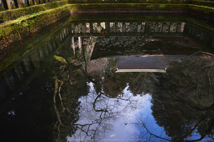 室生寺,雪景(P1000586,12 mm,f-8,GF7)2015yaotomi_.jpg