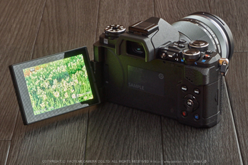 お写ん歩: OLYMPUS M.ZUIKO DIGITAL ED 14-150mm F4.0-5.6 IIアーカイブ