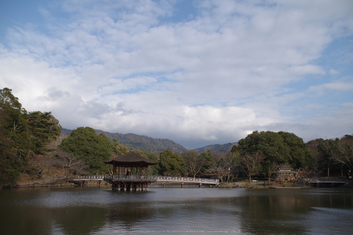 PENTAX K-S2 review （２）／ 梅の花咲く頃 - お写ん歩