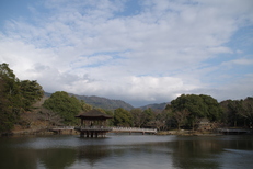 二月堂,修仁会(KS2_0491,18 mm,f-8,DCU5)2015yaotomi_ 1.jpg