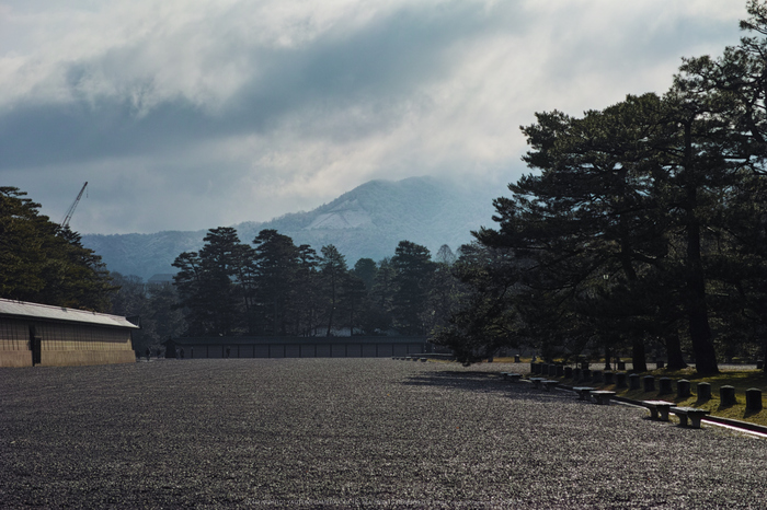 京都御苑,近衛邸跡(DP3Q0551,6.3,RAW)2015yaotomi.jpg