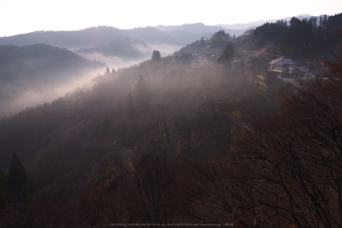 吉野川,朝景(KS2_2107,20 mm,f-6.3,KS2)2015yaotomi.jpg