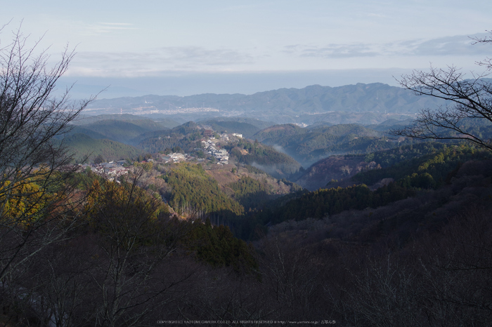吉野川,朝景(KS2_2119,23 mm,f-6.3,KS2)2015yaotomi.jpg