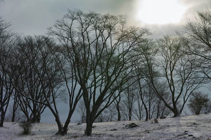 曽爾,屏風岩公苑,雪景(DP3Q0127,f-7.1,dp3Q)2015yaotomi_.jpg