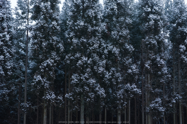 曽爾,屏風岩公苑,雪景(DP3Q0156,f-4.5,dp3Q)2015yaotomi_.jpg