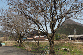 若桜鉄道,撮影地(E5210138,16 mm,f-5,E-M5MarkII      )2015yaotomi.jpg
