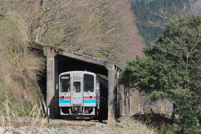若桜鉄道,撮影地(E5210163,95 mm,f-4,E-M5MarkII      )2015yaotomi.jpg