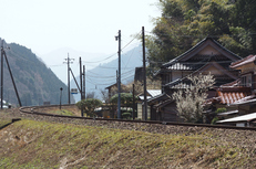 若桜鉄道,撮影地(E5210175,75 mm,f-4,E-M5MarkII      )2015yaotomi.jpg