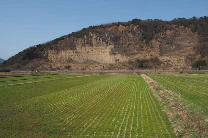 若桜鉄道,撮影地(E5210187,12 mm,f-5.6,E-M5MarkII      )2015yaotomi.jpg