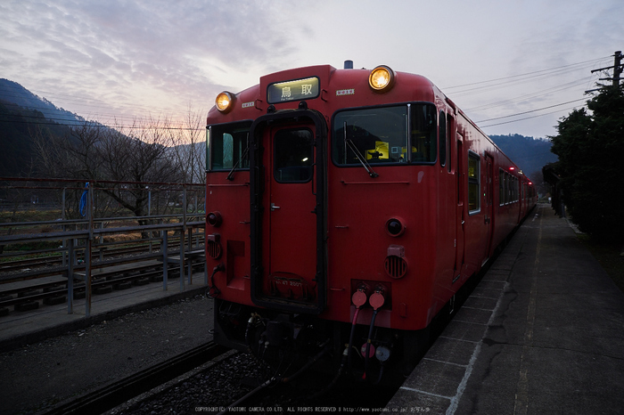 若桜鉄道,撮影地(P3210053,12 mm,f-2.8,E-M1)2015yaotomi_.jpg