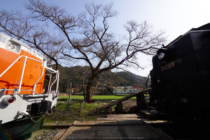 若桜鉄道,撮影地(P3210208,7 mm,f-10,E-M1)2015yaotomi.jpg