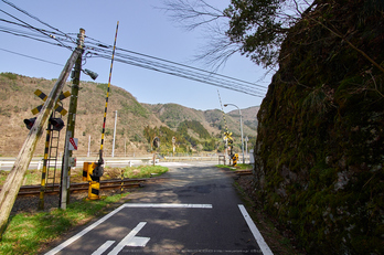 若桜鉄道,撮影地(P3210217,7 mm,f-8,E-M1)2015yaotomi.jpg