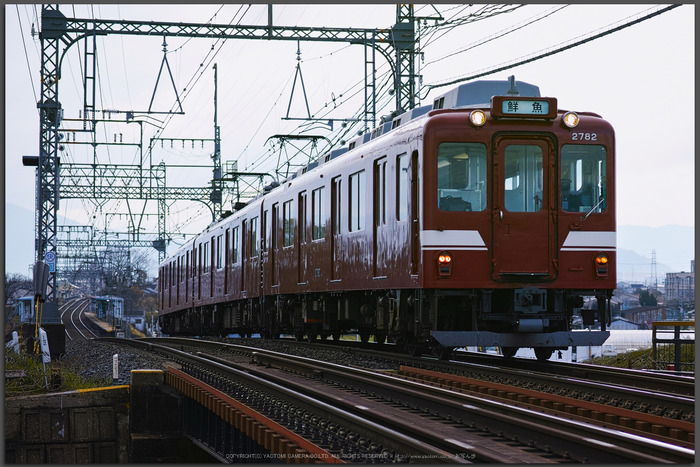 鮮魚列車,近鉄(DP3Q0325d,f-3.2,dp3Q,Top)2015yaotomi_-2.jpg