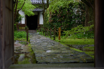 洛北蓮華寺,新緑(P9710720,43 mm,F1.8,DMC-GX7)2015yaotomi.jpg