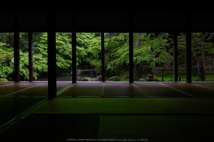 洛北蓮華寺,新緑(P9710733,12 mm,7.1,DMC-GX7)2015yaotomi_.jpg