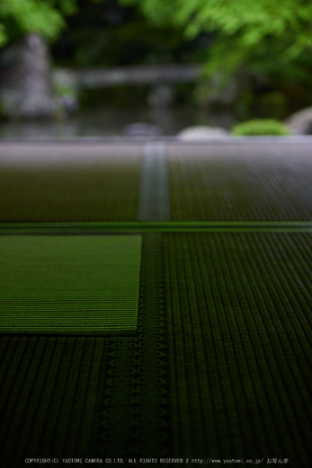 洛北蓮華寺,新緑(P9710787,43 mm,2,DMC-GX7)2015yaotomi_.jpg