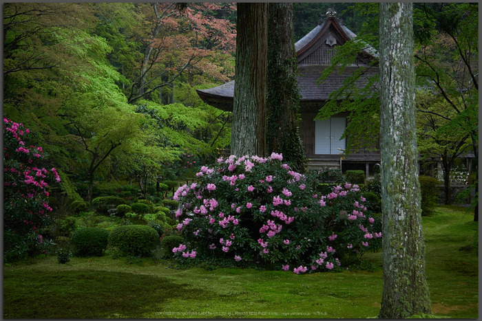 Panasonic LUMIX G MACRO 30mm/F2.8 ASPH./MEGA O.I.S. ／ 京都 大原 ...