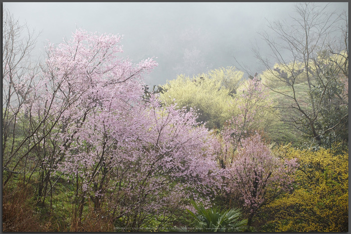 お写ん歩: Canon EOS 5D Mark Ⅱ アーカイブ