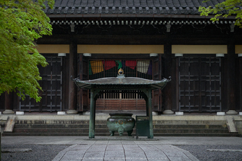 南禅寺,新緑(P9710786,43 mm,F1.7,DMC-GM5)2015yaotomi_.jpg