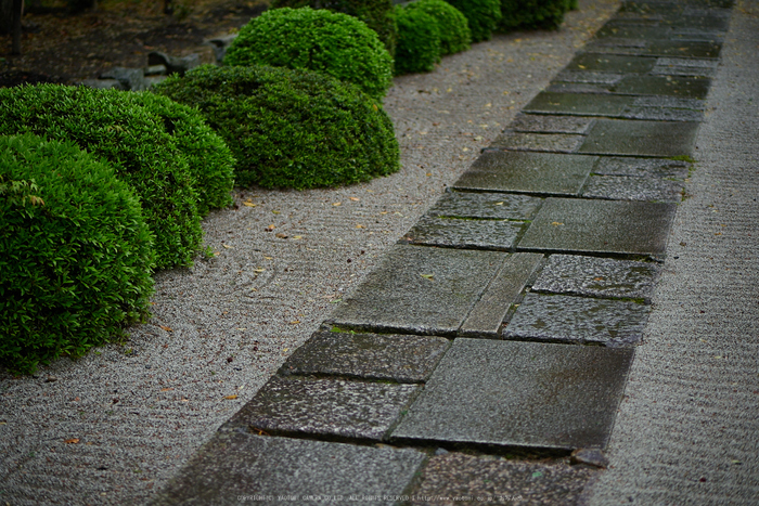 南禅寺,新緑(P9710828,43 mm,F1.7,DMC-GM5)2015yaotomi_.jpg