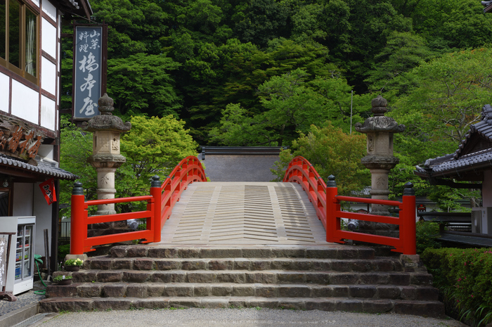 室生寺,新緑(K32_0155,F5.6,35 mm)2015yaotomi_.jpg