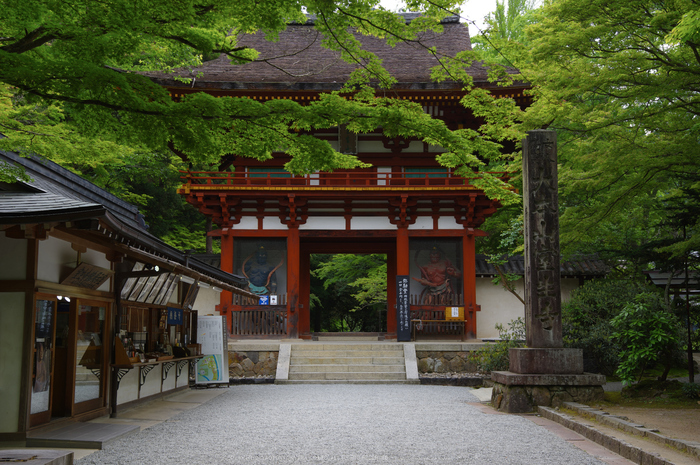 室生寺,新緑(K32_0168,F5,29 mm)2015yaotomi_.jpg