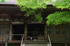 室生寺,新緑(K32_0177,F4,35 mm)2015yaotomi_F.jpg