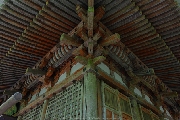 室生寺,新緑(K32_0200,F5.6,18 mm)2015yaotomi_.jpg