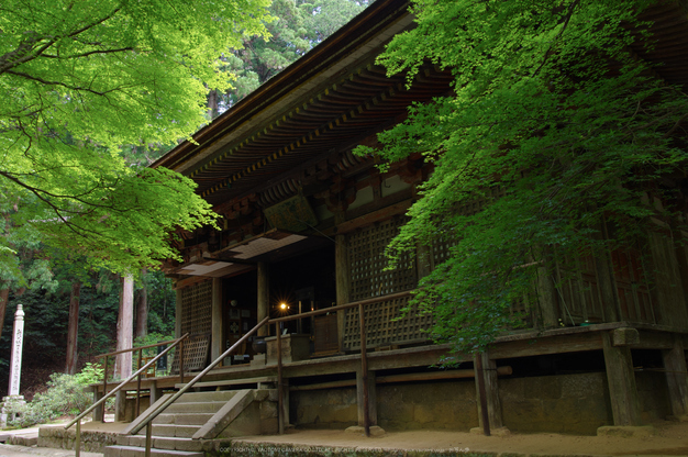 室生寺,新緑(K32_0202,F7.1,18 mm)2015yaotomi_.jpg